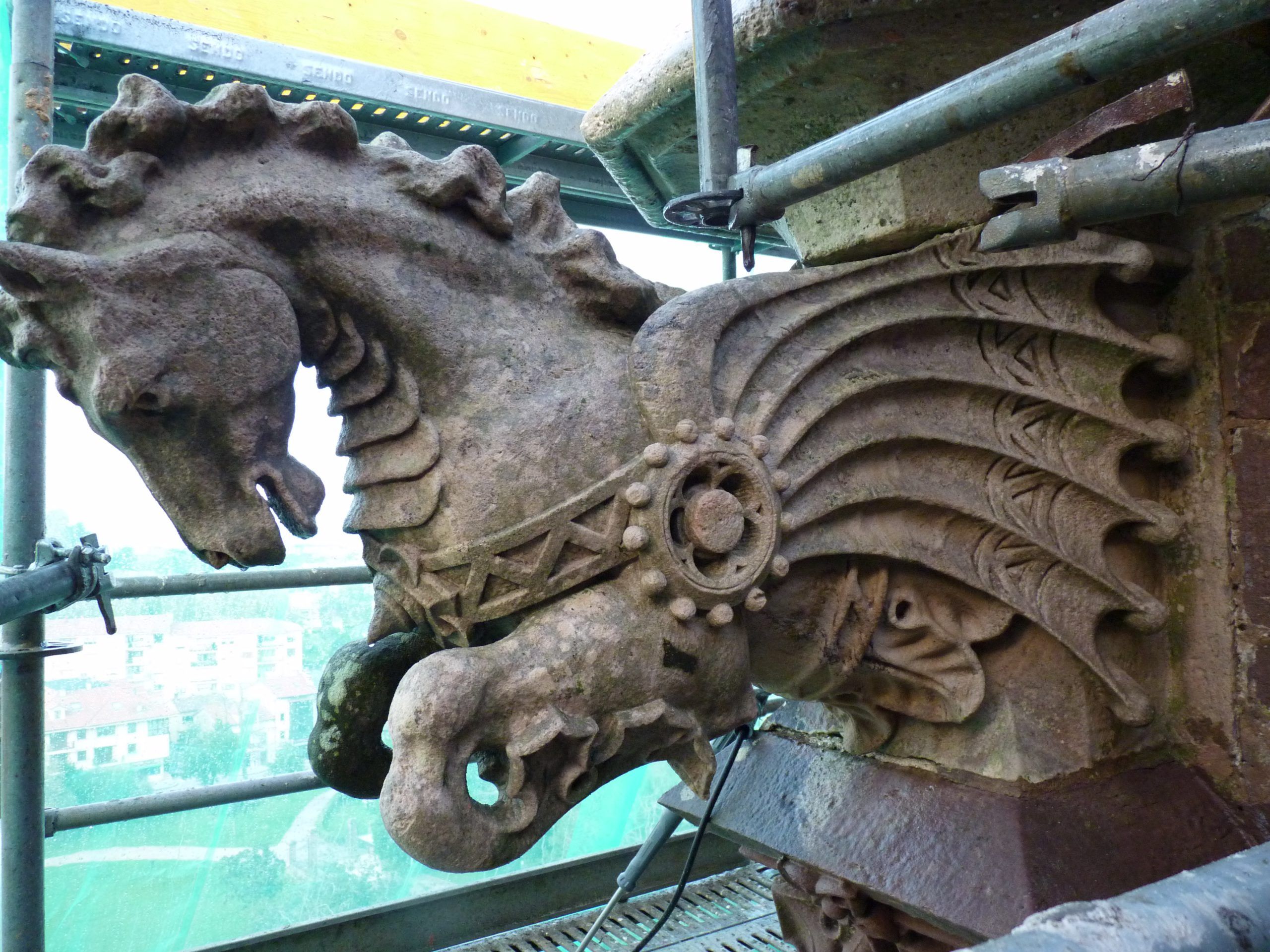 Proceso de limpieza de estructuras